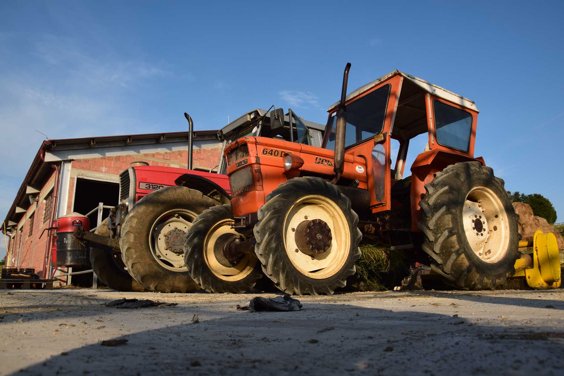 Azienda Agricola Casa Carita Umbra in Kosovo