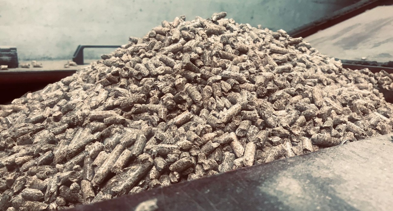 "Come Riscaldare Cuori e Case: unisciti  nella Raccolta Pellet per l'Inverno 2024/2025!"  | Casa Carita Umbra in Kosovo 